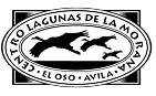 Logo Centro copia 19